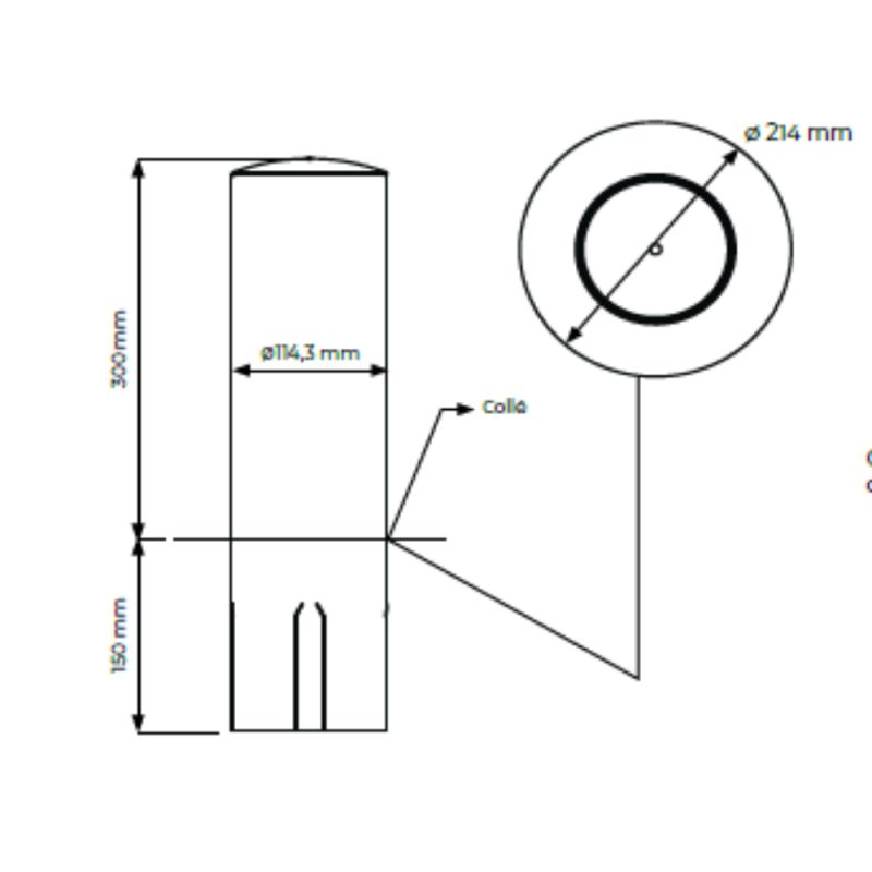 Mini borne de protection basse inox | Prossentiel